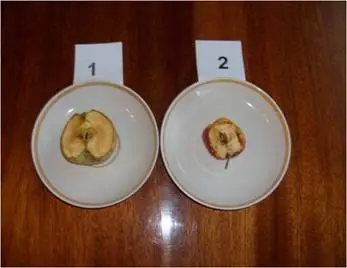 Experimento de Manzanas debajo de la pirámide